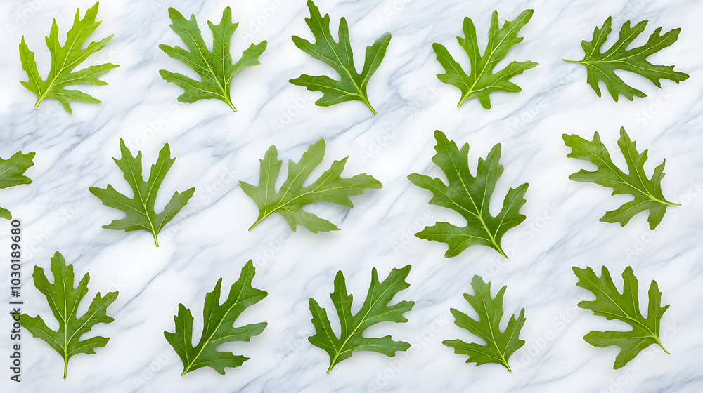 A Stunning Presentation of Turnip Greens Horizontally Arranged on a Marble Countertop Illuminated by Soft Natural Light A Stunning Presentation of Turnip Greens Horizontally Arranged on a Marble Countertop Illuminated by Soft Natural Light