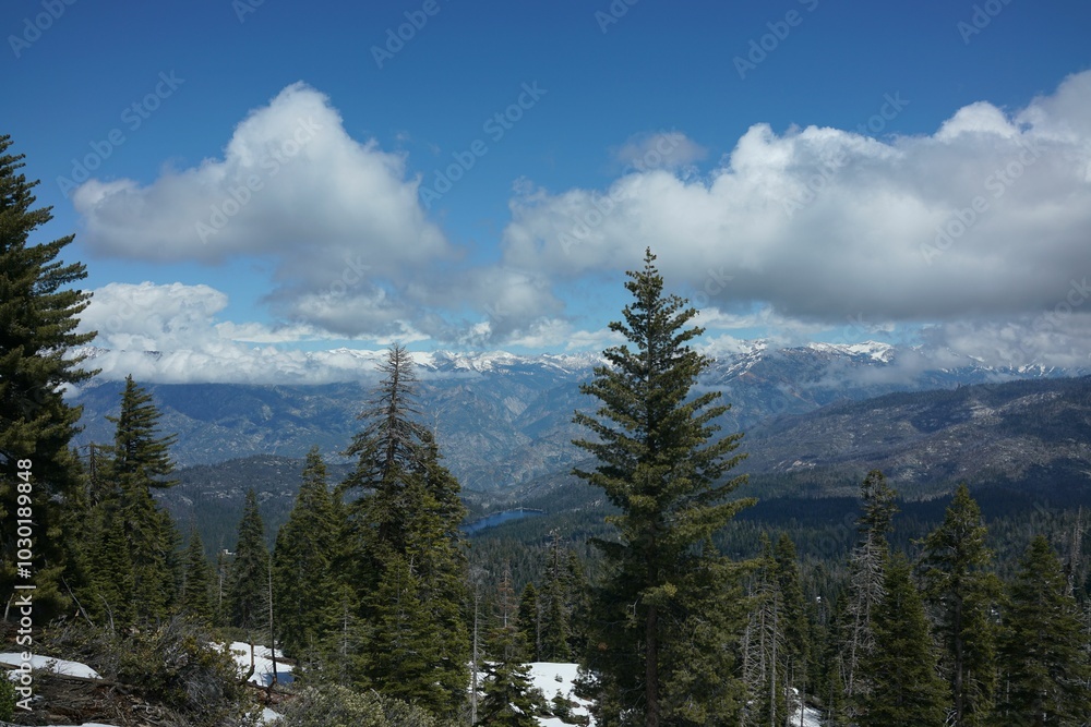 Scenic view of a lush forest with snow-capped mountains under a cloudy sky Scenic view of a lush forest with snow-capped mountains under a cloudy sky