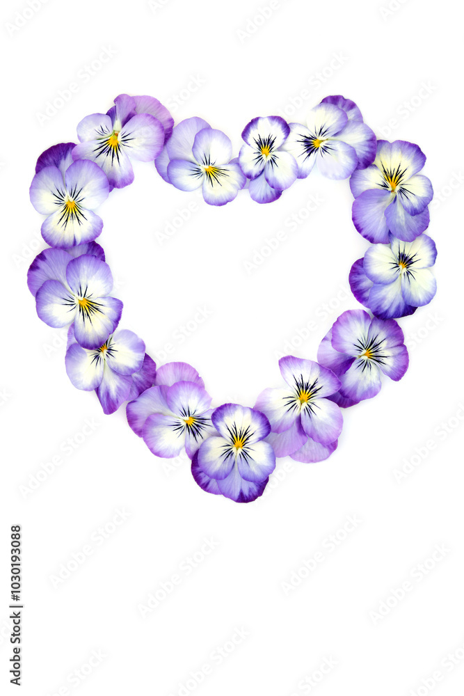 Obraz premium Pansy flower heart shape wreath on white. Romantic symbol for logo, greeting card. Edible flowers for food decoration and herbal medicine. Gardeners Path variety.