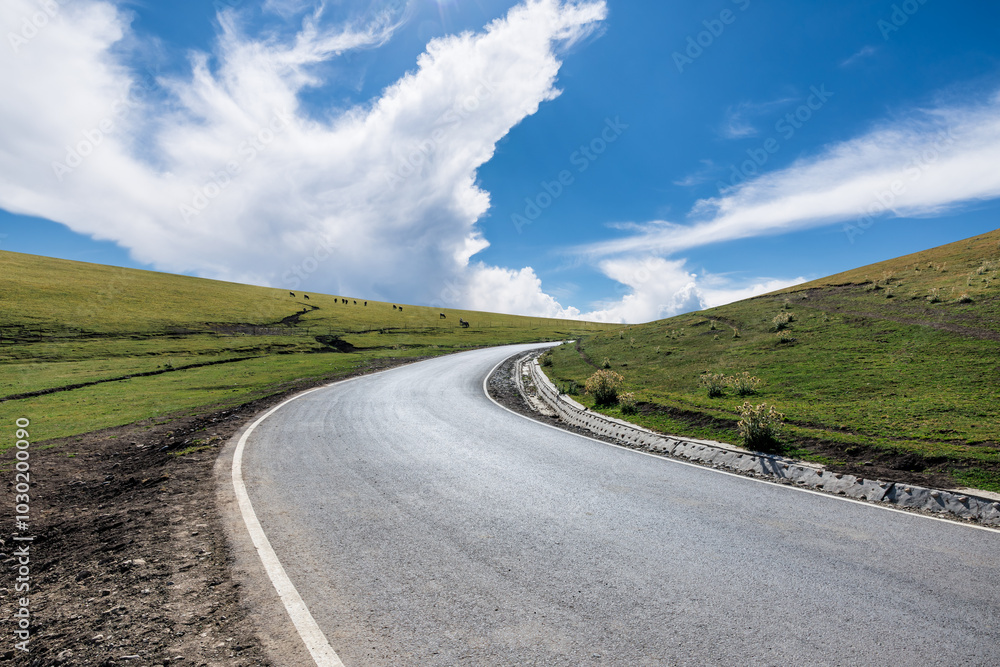 Fototapeta premium Countryside asphalt road and green grassland pasture nature landscape under blue sky. road trip.