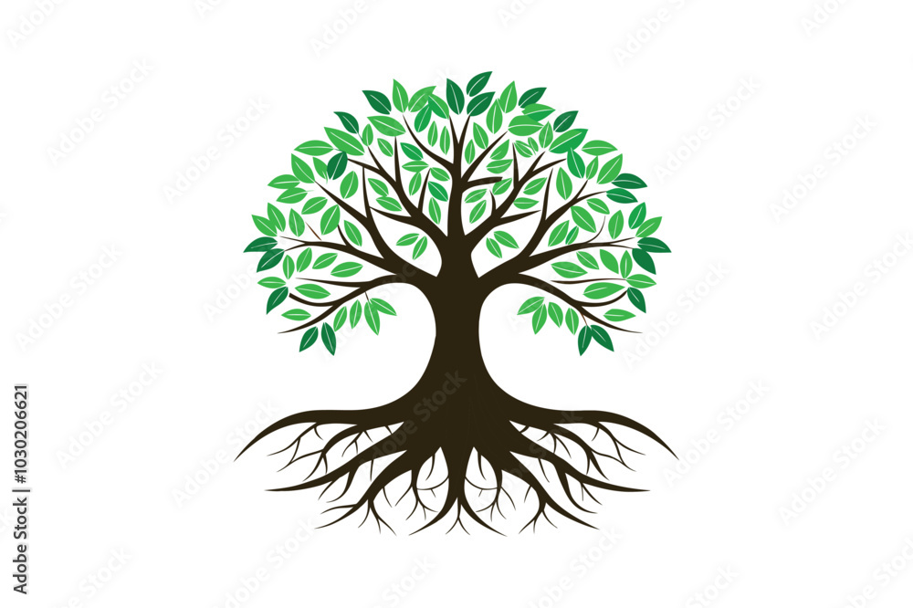 Obraz premium Tree Roots vector illustration, Tree Roots vector 