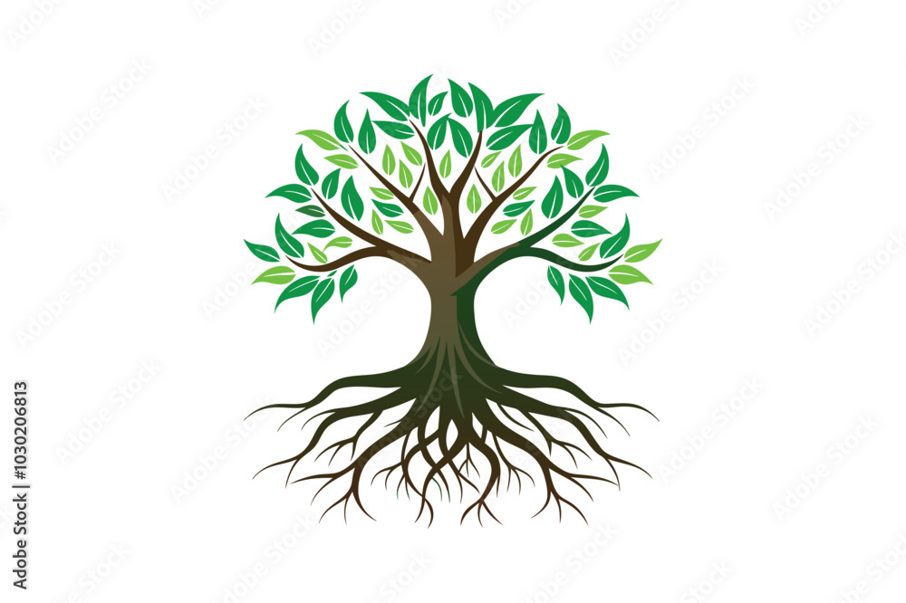 Fototapeta premium Tree Roots vector illustration, Tree Roots vector