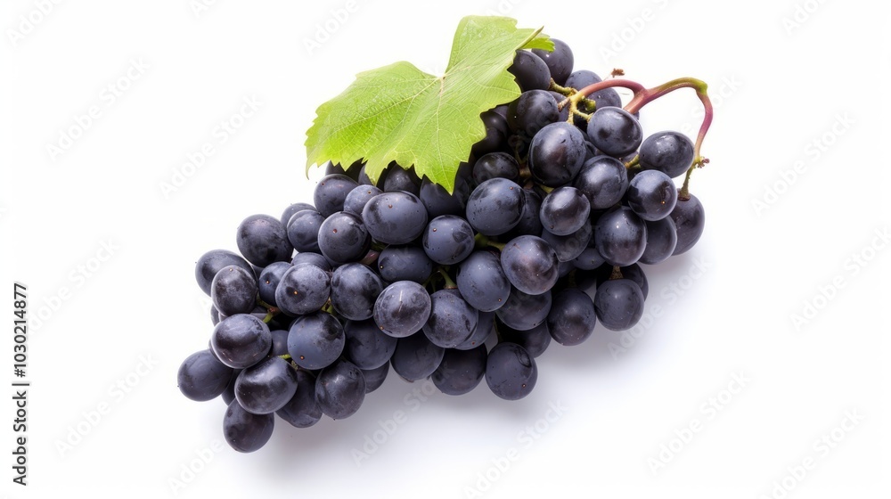 Vibrant Isabella: A Top-View of Plump Black Grapes Dancing on a White Canvas under Natural Light - I Vibrant Isabella: A Top-View of Plump Black Grapes Dancing on a White Canvas under Natural Light - I