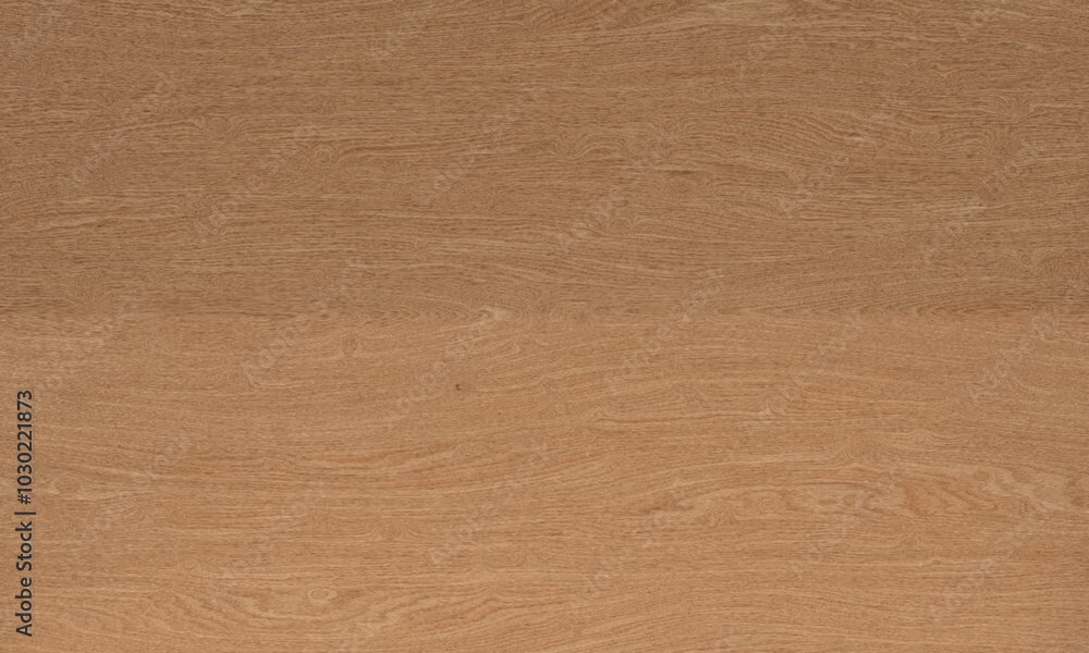 Beech Wood wood texture, background high quality, material for design and artworks
Beech Wood wood texture, background high quality, material for design and artworks