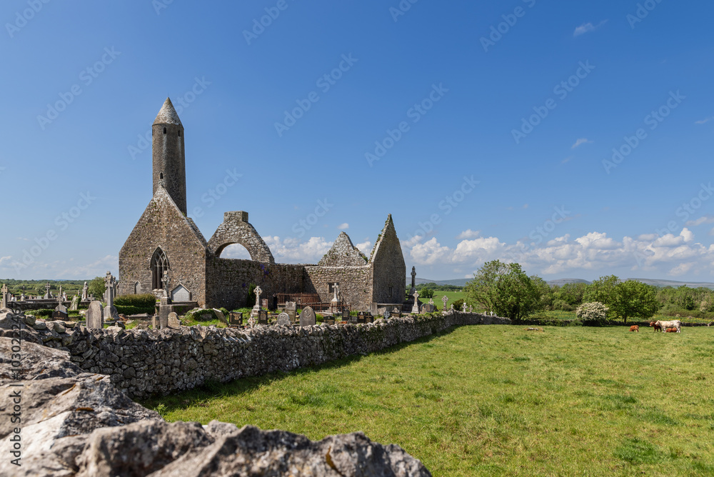 Kilmacduagh Abbey ruins in County Galway, Ireland, include a round tower and ancient stone church surrounded by a cemetery. Grazing cows on a nearby pasture enhance the rural and historic atmosphere Kilmacduagh Abbey ruins in County Galway, Ireland, include a round tower and ancient stone church surrounded by a cemetery. Grazing cows on a nearby pasture enhance the rural and historic atmosphere