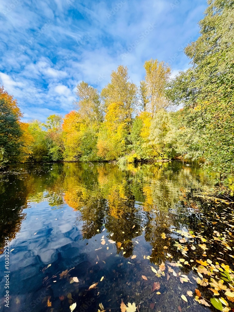 Autumn trees reflection on the water surface, pond in the park, beautiful autumn trees by the pond Autumn trees reflection on the water surface, pond in the park, beautiful autumn trees by the pond