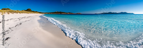 Ein tropischer Strand mit Palmen und blauem Himmel  photo