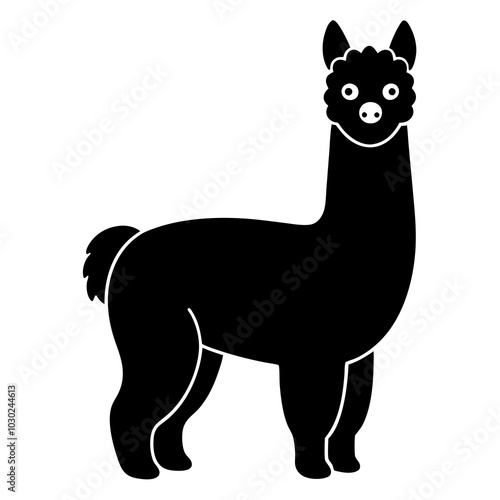 black and white alpaca