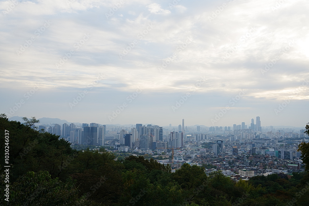 Fototapeta premium view of the city