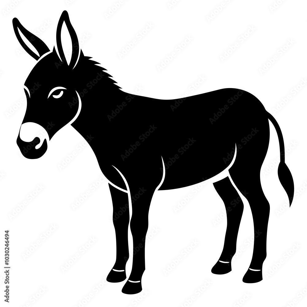 donkey isolated on white background donkey isolated on white background