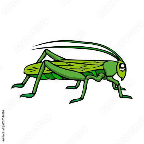 grasshopper vector illustration