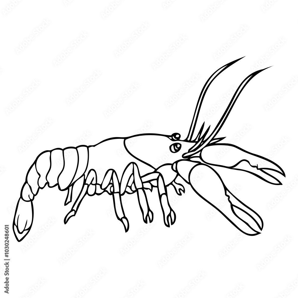 Fototapeta premium lobster line vector illustration