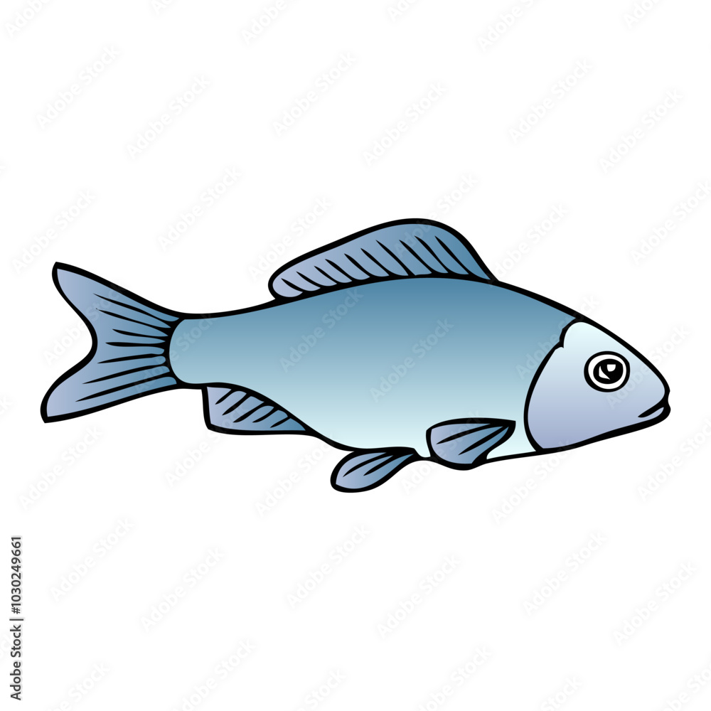 fish vector illustration fish vector illustration