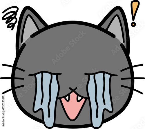 Cute gray cat Cry