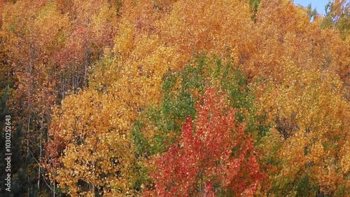 Color beauty of the autumn season