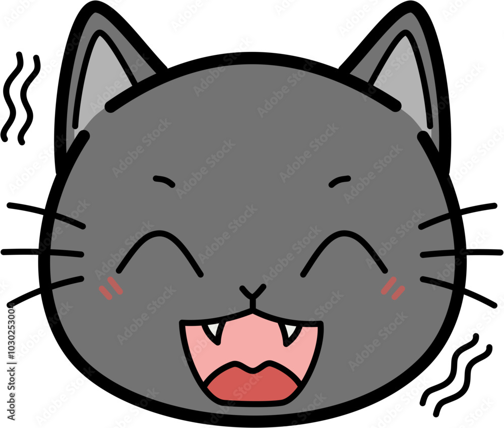 Cute gray cat laugh Cute gray cat laugh
