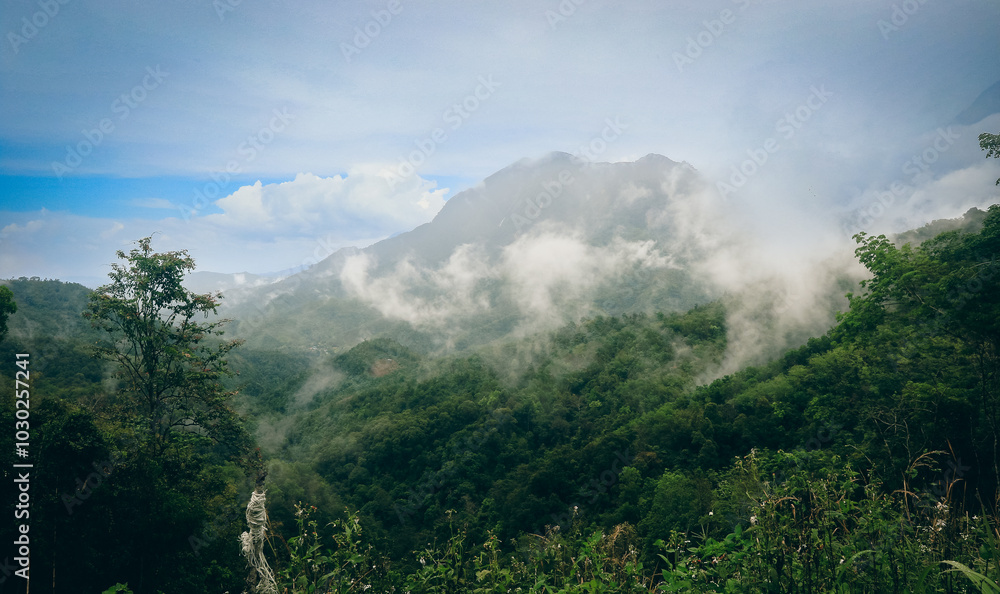 Misty valleys and lush hills of Kota Kinabalu capture the serene beauty of nature at dawn in Malaysia's vibrant landscape Misty valleys and lush hills of Kota Kinabalu capture the serene beauty of nature at dawn in Malaysia's vibrant landscape