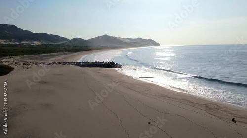 Wallpaper Mural Aerial drone footage over a large white sand ocean beach, Oaxaca, Mexico Torontodigital.ca
