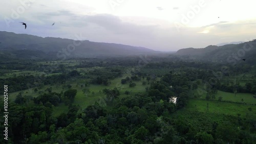 Wallpaper Mural Aerial drone footage over river a lush jungle valley at sunset with birds in sight, Roberto Barrios, Chiapas, Mexico Torontodigital.ca