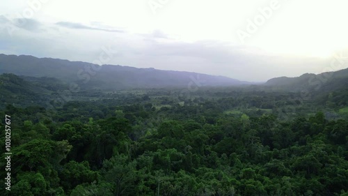 Wallpaper Mural Aerial drone footage over river a lush jungle valley at sunset, Roberto Barrios, Chiapas, Mexico Torontodigital.ca