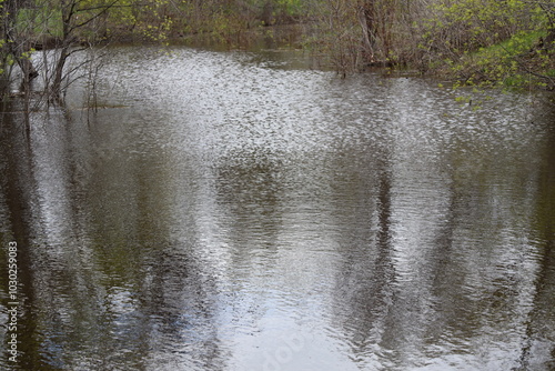 ravine filled by swollen creak during spring flooding