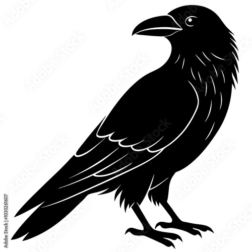 raven on a white background