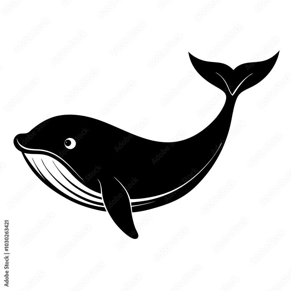 illustration of whale illustration of whale