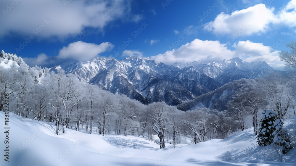 白神山地の冬の山並みと雪景色 白神山地の冬の山並みと雪景色