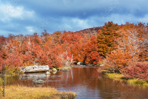 Autumn creek photo