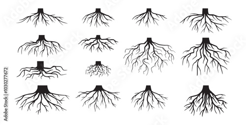 Various realistic tree roots, shrub roots. Parts of plant, root system tree stump. Dendrology, woody plants. Sketch doodle drawing.