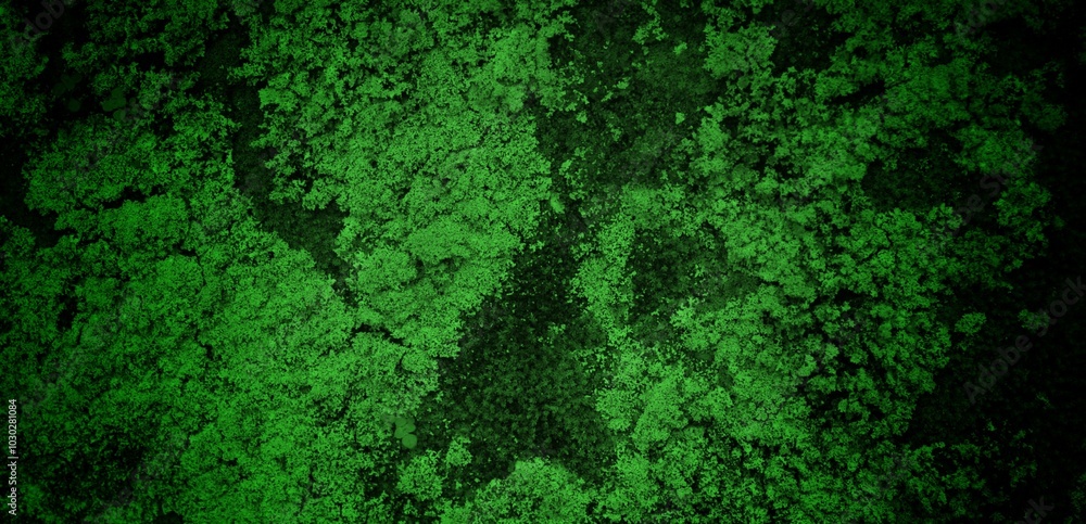 long cracked wall background in green color, Abstract background texture concrete or plaster hand made wall. long cracked wall background in green color, Abstract background texture concrete or plaster hand made wall.