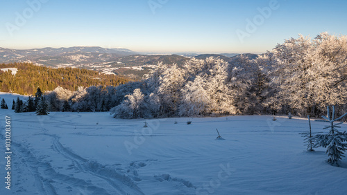Fototapeta Naklejka Na Ścianę i Meble -  Panorama Beskidzkiego krajobrazu wykonana w okolicach Szczytu Wielka Rycerzowa w Beskidzie Żywieckim.