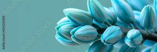 Close-Up of Delicate Blue Flower Buds on Teal Background, Macro Photography, Nature Beauty,