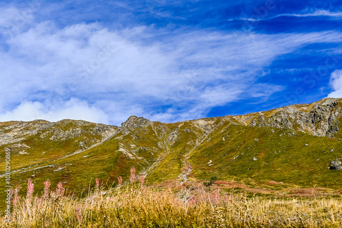 Livigno, Forcola di Livigno, Passo Forcola, Passstrasse,  Bergpass, Alpen, Piz Orsera, Piz dals Lejs, Monte Vago, Wanderweg, Bergwiesen, Fluss, Spöl, Berninagruppe, Herbst, Herbstfarben, Zoll, Italien photo