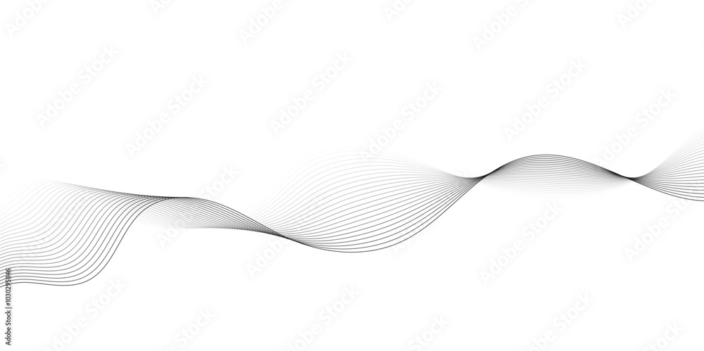 Fototapeta premium Vector wavy grey lines flowing smooth curve black gradient color on transparent background in concept of technology, science, music, sound, banner, poster, modern.