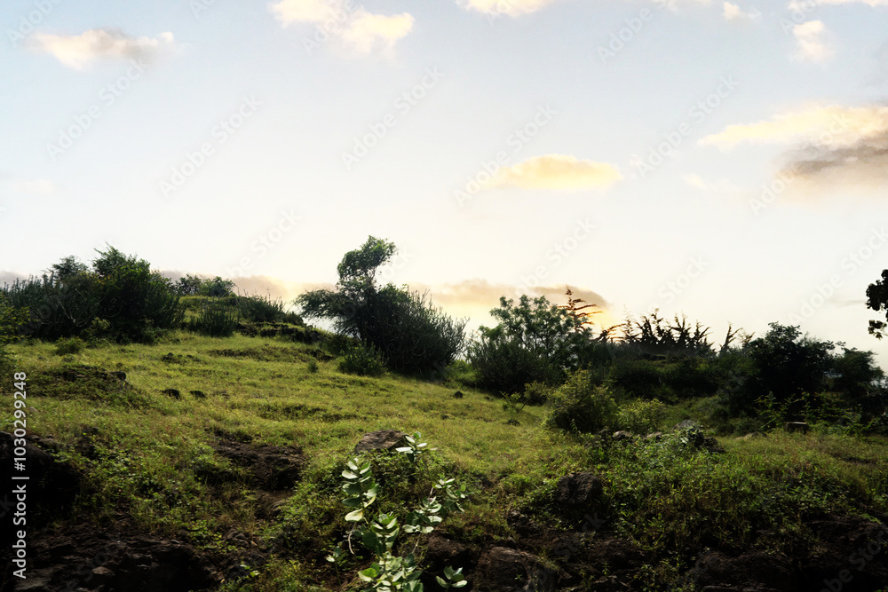 Calm Morning Light on Green Hills: A Picturesque View of Nature's Elegance Calm Morning Light on Green Hills: A Picturesque View of Nature's Elegance