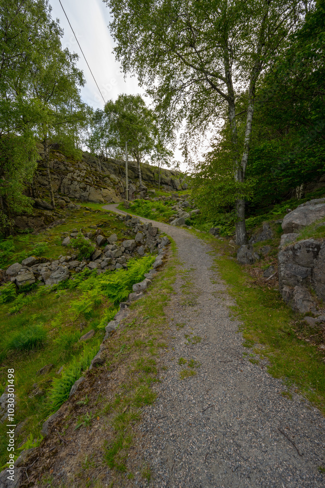 Steep narrow road in a hilly forest landscape.