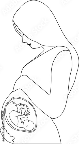 A pregnant woman touching her belly. A baby in the womb is in the fetal position with its head down. Outline vector illustration. Transparent background.