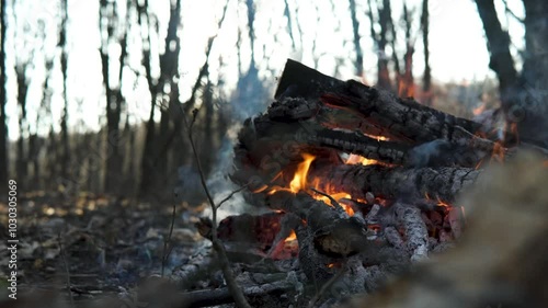 A freshly extinguished campfire full of ashes and smoke in the middle of a forest, no people, selective focus, autumn day time.