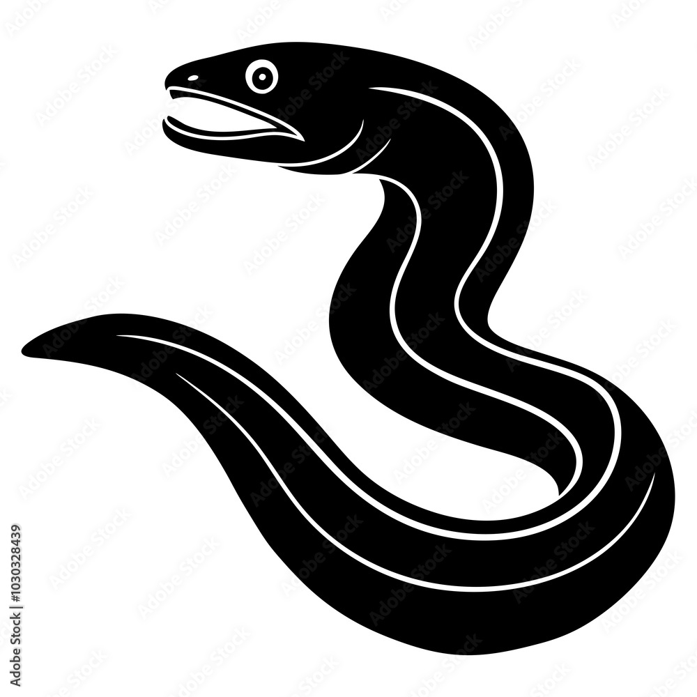 black and white moray eel fish black and white moray eel fish