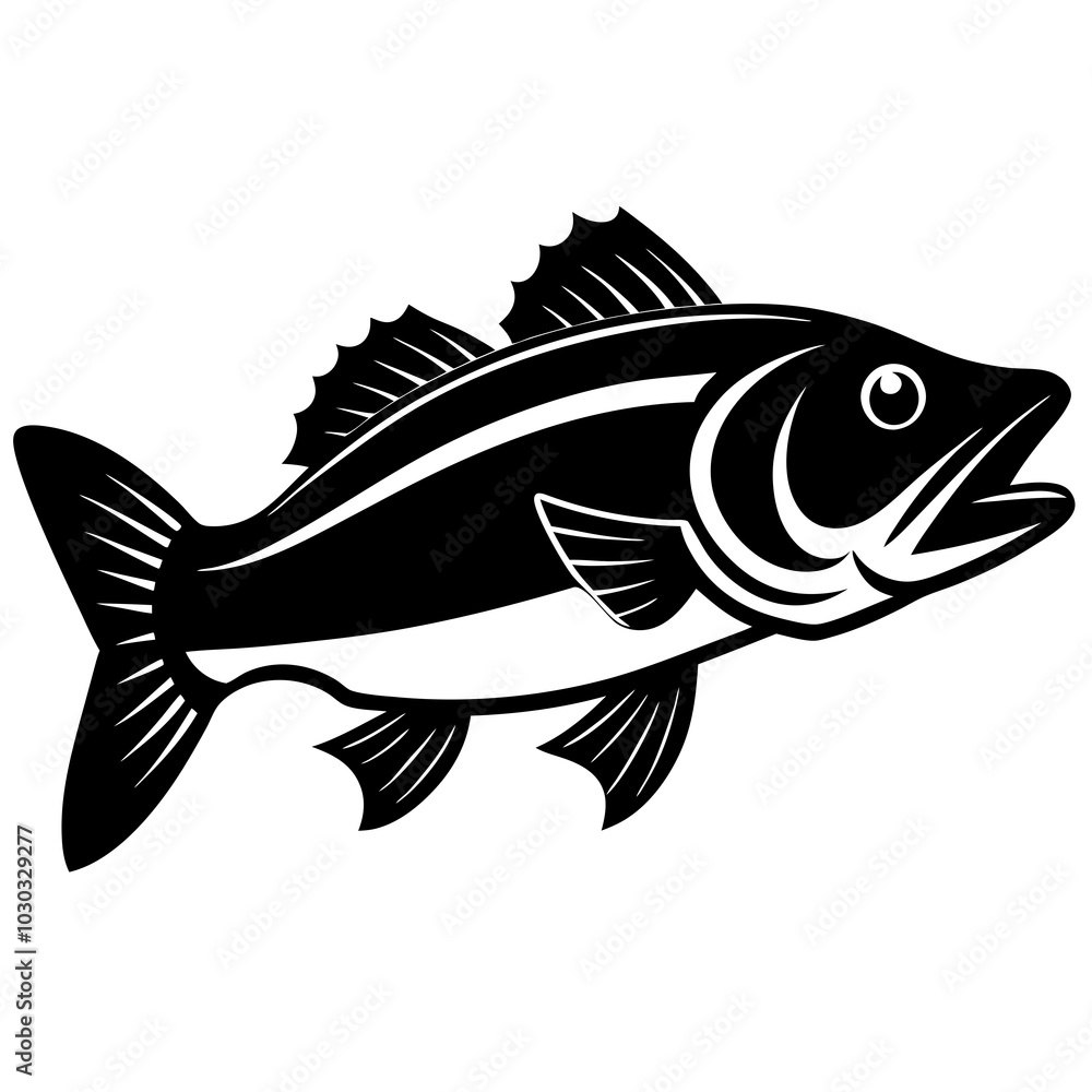 illustration of a bass fish illustration of a bass fish