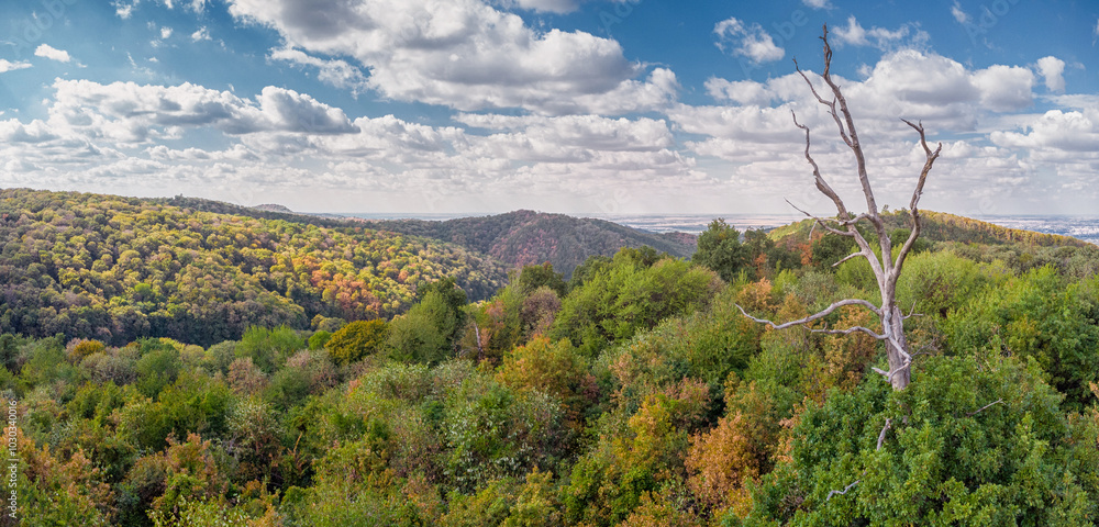 The wilderness park offers a beautiful autumn view, with green and orange leaves spreading across the mountains and valleys The wilderness park offers a beautiful autumn view, with green and orange leaves spreading across the mountains and valleys