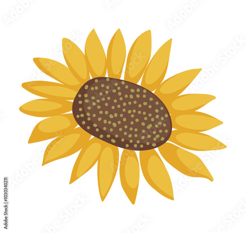 Sunflower vector illustration. Simple yellow sunflower isolated on a white background for cards, decorations, packaging, and invitations. Flat style flower in bloom.