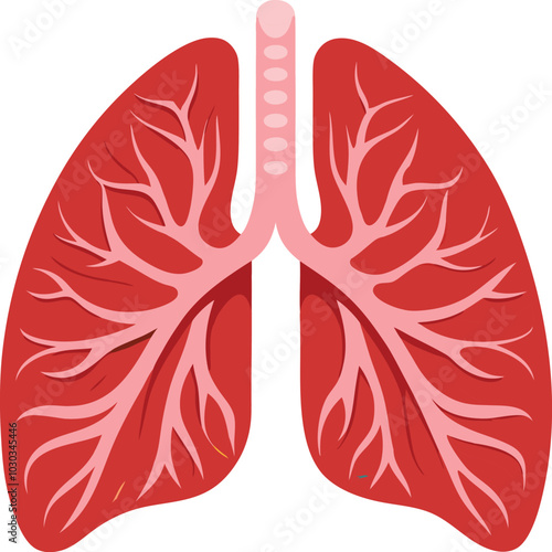 human lungs vector illustration graphic design