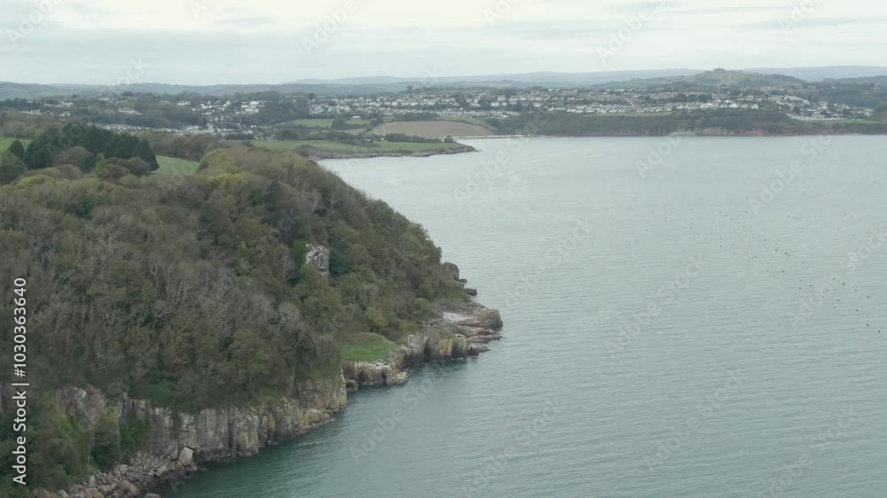 Devon Coastline Drone Pan Left showing Rocky shore and trees aerial shot, camera pans to reveal more of shoreline Devon Coastline Drone Pan Left showing Rocky shore and trees aerial shot, camera pans to reveal more of shoreline