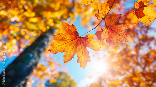 Herbstblätter am blauem Himmel 