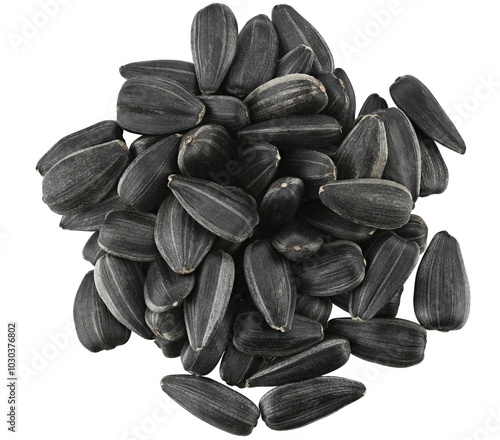 Pile sunflower seeds isolated on a transparent background. Completely in focus. Top view.