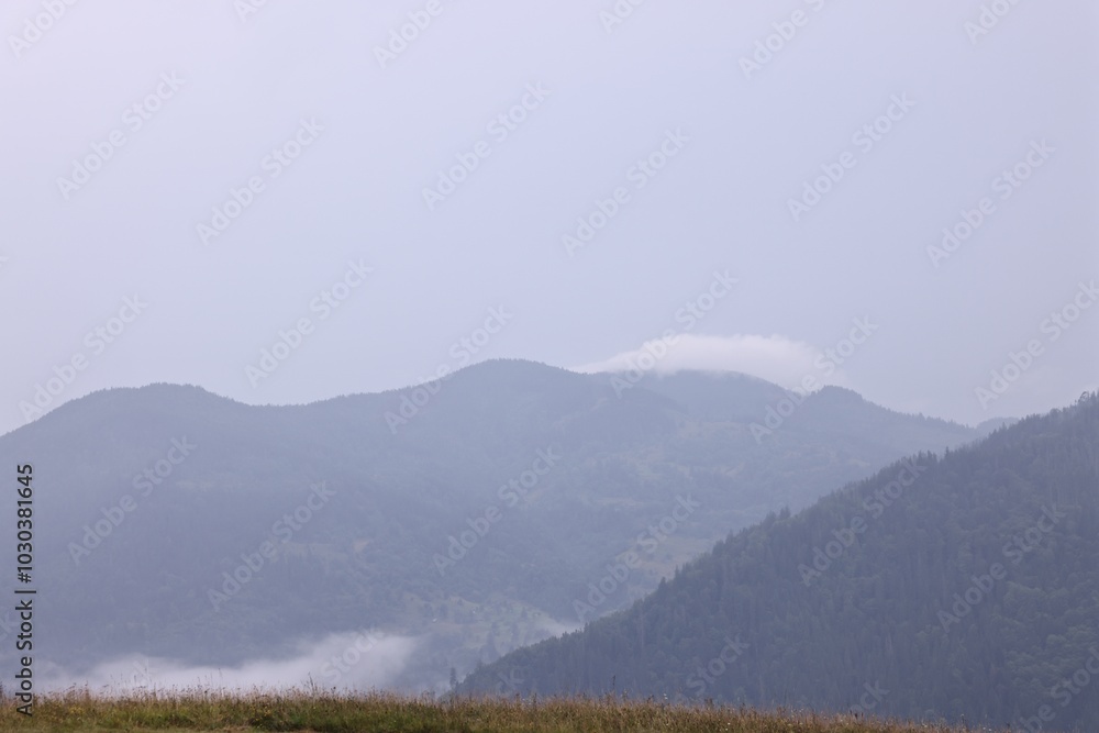 Fototapeta premium Picturesque view of beautiful mountains covered with fog