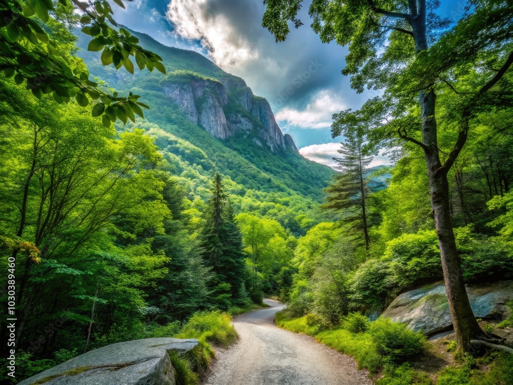 Fototapeta premium Explore the tranquil Minimalist Mountain Path at Smugglers Notch in Vermontâ€”a secluded gem surrounded by stunning natural beauty, ideal for quiet reflection and invigorating hikes.