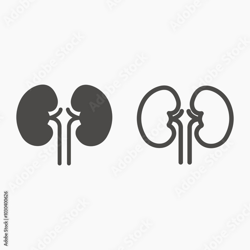 Kidney, organ, medical icon vector set	
